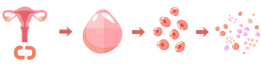 Donor to finished conditioned media process diagram